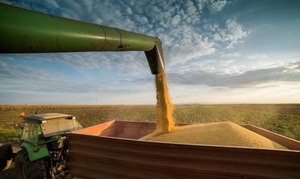 Factores que afectan el crecimiento económico 2026