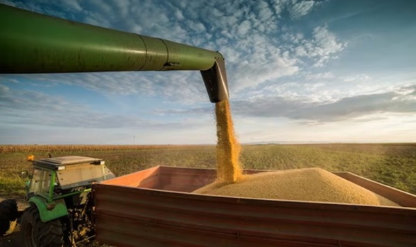 Factores que afectan el crecimiento económico 2026