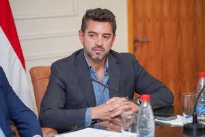 Alliana definirá su dupla tras reuniones con la dirigencia y las bases del partido - El Trueno