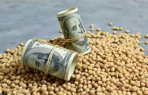 Dólar cae a mínimo de G. 6.300: ¿Quiénes ganan o pierden en este escenario? - Economía - ABC Color