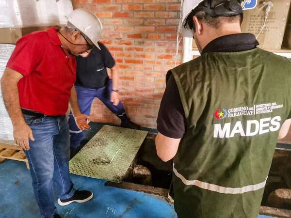 MRA: Mades interviene en “proyecto” de elaboración y depósito de productos domisanitarios  - Nacionales - ABC Color