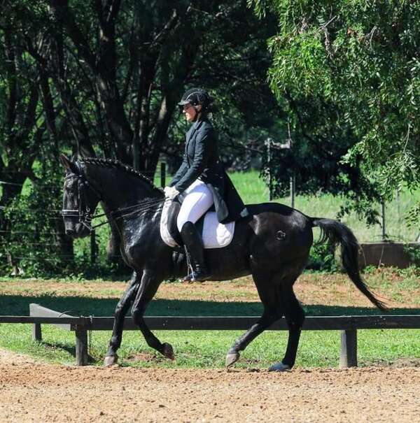 Hipismo con otra esperada jornada de Adiestramiento en el RC4 Acá Carayá, este sábado - Polideportivo - ABC Color
