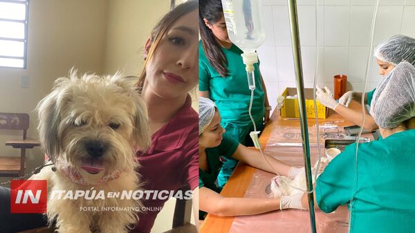 LA PAZ REALIZA EXITOSA JORNADA GRATUITA DE CASTRACIÓN CANINA Y FELINA
