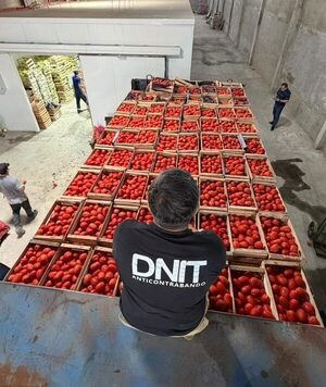 Decomisos por contrabando alcanzan cerca de USD 20 millones en el primer trimestre