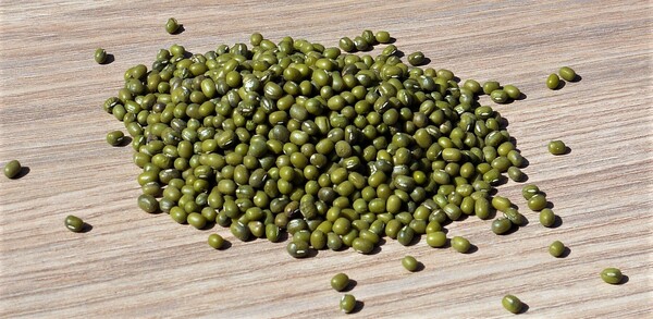 El poroto mungo paraguayo desembarca en Tailandia y abre negocios por USD 2.000 millones