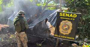 Diario HOY | Eliminan 12 toneladas de marihuana en Amambay
