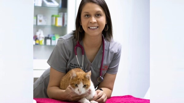 Día Mundial del Veterinario: “Cada vida que se salva, nos recuerda por qué elegimos la profesión”