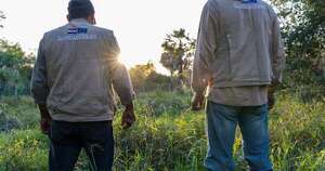 La Nación / Paraguay avanza en la estructuración de acuerdos de carbono con Singapur