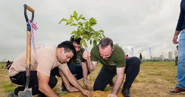 La Nación / Plantatón celebra una década con la meta de alcanzar 10.000 árboles