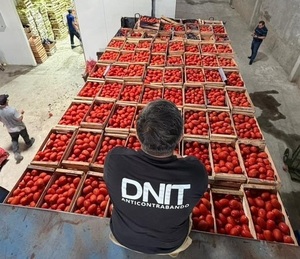 Decomisos por contrabando se acercan a USD$ 20 millones - 5Días