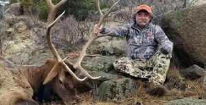 Millonario cazador estadounidense muere pisoteado por una manada de elefantes