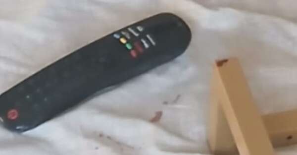 La Nación / ¡Terrible! 67 heridas cortantes recibió la estudiante de medicina, víctima de feminicidio