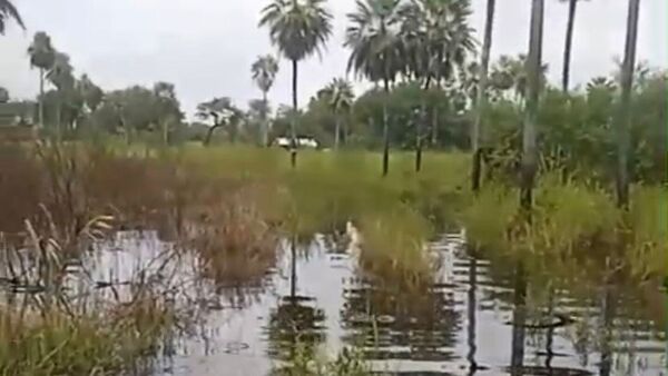 Comunidad indígena del Chaco aislada por inundación pide ayuda urgente