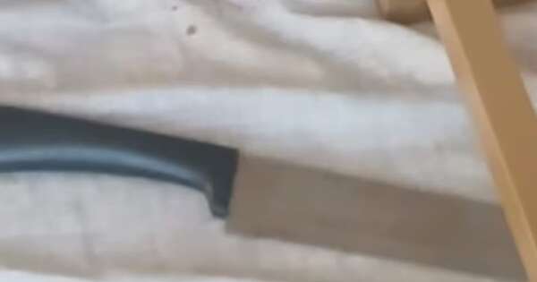 La Nación / Mujer asesinada recibió unas 60 heridas cortantes