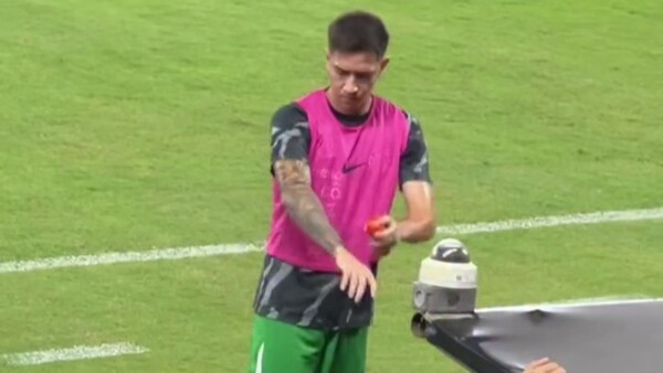 Popular / (VIDEO) ¡Peloteros de Olimpia atacados por mosquitos!