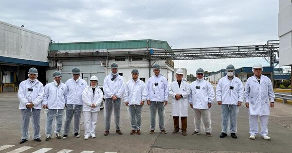 La Nación / Paraguay apunta a conquistar el mercado porcino argentino tras histórica apertura