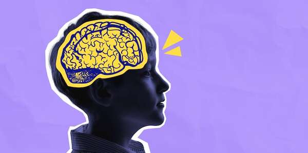 Estudio revela cómo la exposición a metales perjudica el desarrollo cerebral infantil - Ciencia - ABC Color