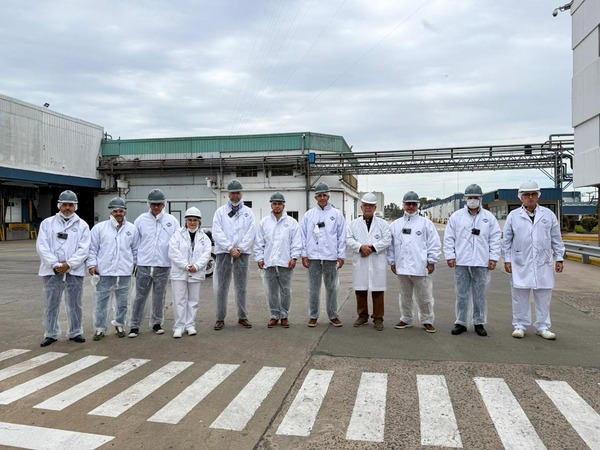 Carne porcina paraguaya pretende conquistar mercado argentino - ADN Digital