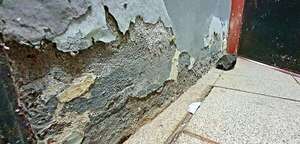 Deplorable estado de la sede prestada del Ministerio Público en Ciudad del Este - ABC en el Este - ABC Color