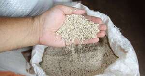 La Nación / Paraguay y Perú fortalecen certificación fitosanitaria y oportunidades de exportación