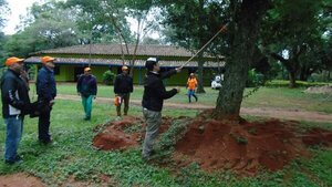Con taller de poda urbana buscan crear conciencia sobre protección de árboles de Asunción