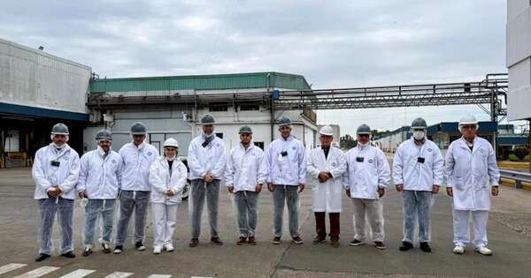 La Nación / El país apunta a conquistar mercado porcino argentino tras la apertura