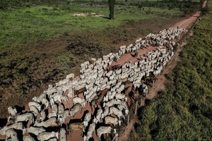 “La sostenibilidad cambia las reglas”, el acuerdo Mercosur y UE redefine el acceso a los mercados