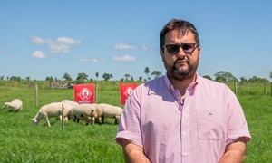 Cumbre Ovina apuesta a la genética para responder a la creciente demanda en Paraguay