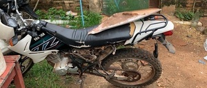 Motociclista resultó herido tras chocar contra un perro en pleno centro de Concepción - Concepción al Día