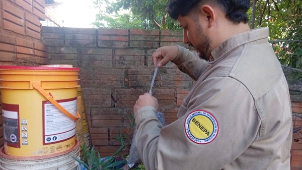 SENEPA amplía controles en Itapúa para medir riesgo de enfermedades transmitidas por mosquitos
