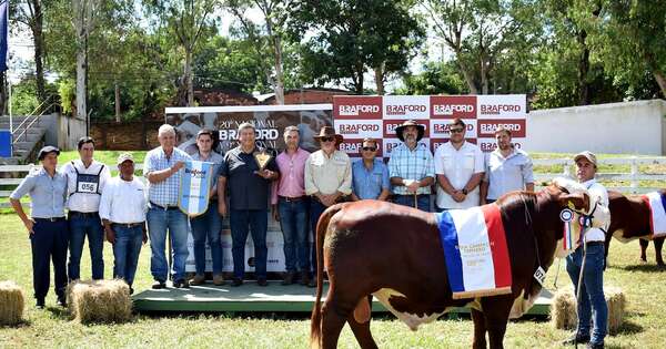 Ventas por más de G. 6.100 millones en Nacional de braford respaldan firmeza del negocio