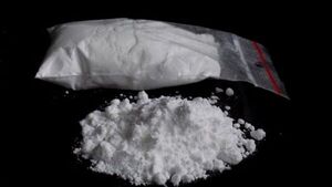 Incautados más de media tonelada de clorhidrato de cocaína en un operativo en el centro de Bolivia