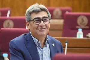 Cortina de humo de HC: La gente no se muere porque Cartes, Nicanor o Marito sean senadores, dice González - Política - ABC Color