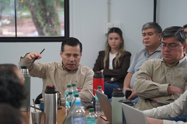 La ANDE informa que la Línea 500 kV Yguazú-Valenzuela alcanza el 60% de ejecución