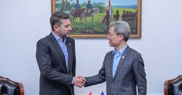 La Nación / Alliana ratifica compromiso y línea de cooperación con países aliados