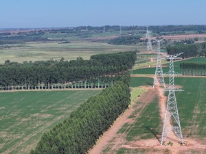 ANDE reporta avance del 60 % en Línea de 500 kV Yguazú–Valenzuela - ADN Digital
