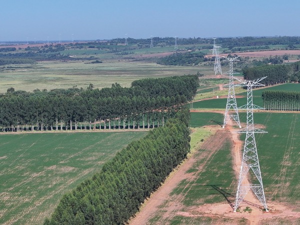 ANDE reporta avance del 60 % en Línea de 500 kV Yguazú–Valenzuela - ADN Digital