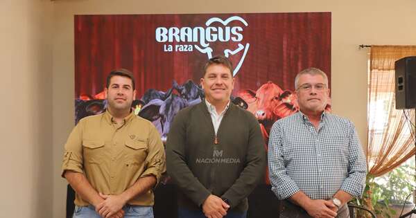 La Nación / Nacional de Otoño Brangus pretende alcanzar G. 3.000 millones en negocios