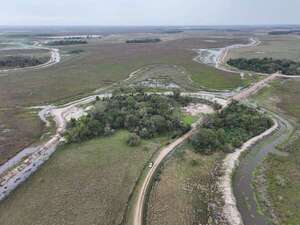 Video: inundaciones golpean al sector ganadero en Ñeembucú y crece la tensión con arrocero - Nacionales - ABC Color