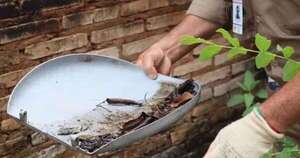 La Nación / Detectan casos de dengue serotipo 3