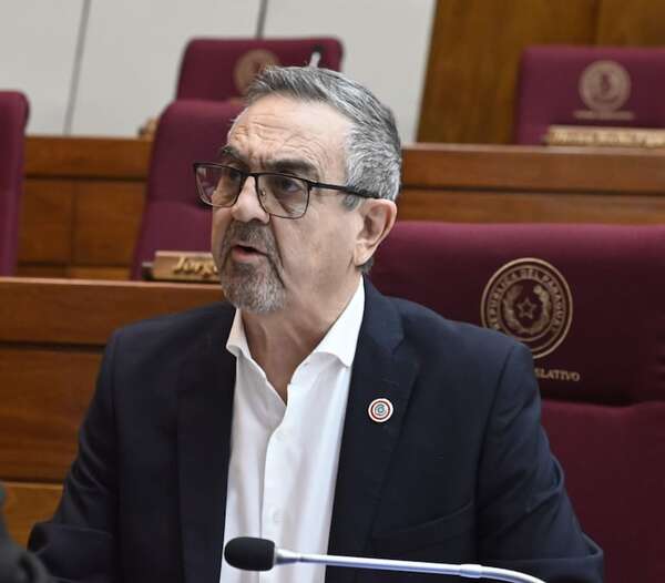 Polémico proyecto de Esgaib: subir penas y criminalizar la “denuncia falsa” - Política - ABC Color