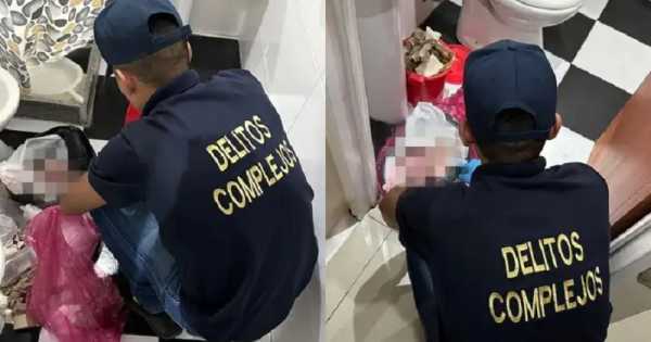 Horror en clínica de Argentina: encontraron ocho fetos humanos en bolsas de residuos