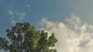 Martes con ambiente frío a fresco en todo el país