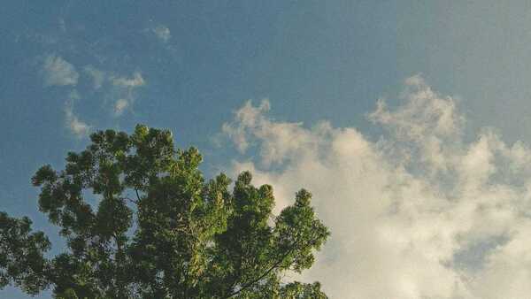 Martes con ambiente frío a fresco en todo el país