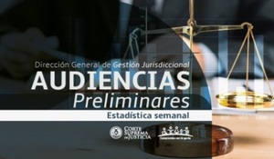 Informe de audiencias preliminares de Juzgados Penales de Garantías de Capital