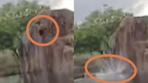 Joven se habría tirado a la cantera por reto viral, dicen