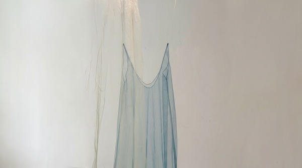 "Después vino el silencio de todos los árboles", muestra de Claudia Casarino, se inaugura en Casa Mayor