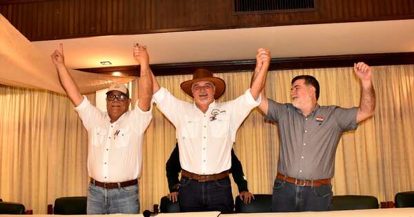 La Nación / Daniel Prieto Davey fue reelecto como presidente de la ARP