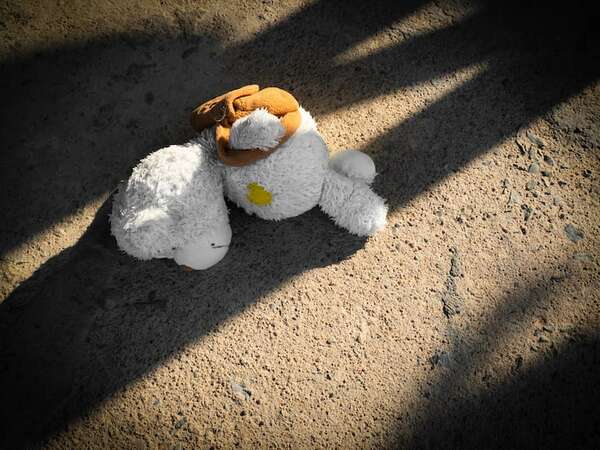 Policías de 16 países, entre ellos Paraguay, en operativo contra violencia sexual infantil - Mundo - ABC Color