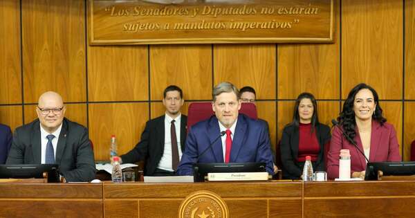 La Nación / En el Senado abordan sobre el proyecto de tren de cercanías